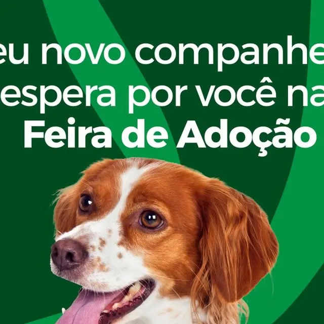 Feira de Adoção de Animais