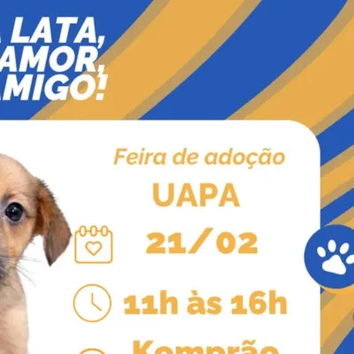 Feira de Adoção UAPA