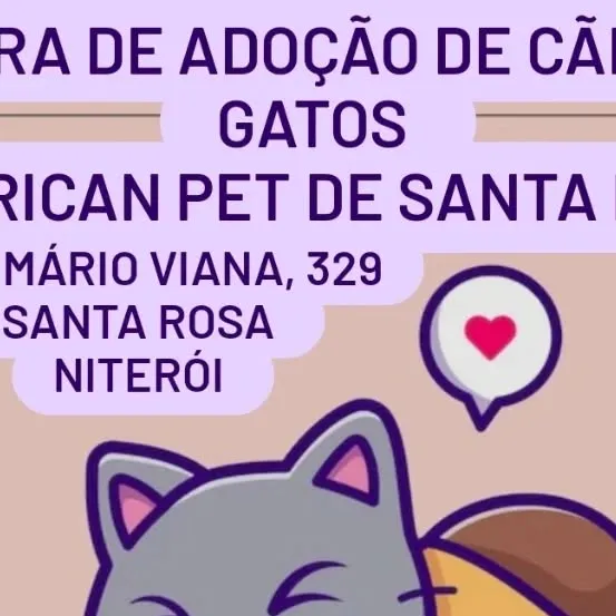 Participe da feira de adoção de cães e gatos na American Pet de Santa Rosa, Niterói.
