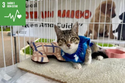 Itaquá Promove a Adoção Responsável de Animais
