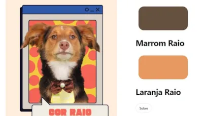 Campanha Pet Colors: Adoção de Animais e Conscientização