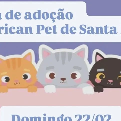 Feira de Adoção na American Pet de Santa Maria