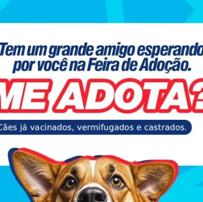 Feira de Adoção: Encontre seu novo amigo!