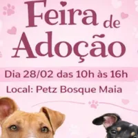 Feira de Adoção Amigos da Mia