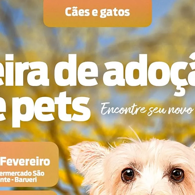 Feira de Adoção de Pets
