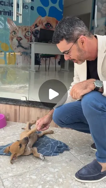 Adoção de Animais no CAPA de Campo Formoso