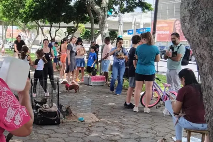 Feira de Adoção e Venda de Cães