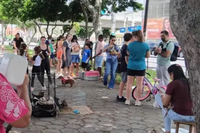 Feira de Adoção e Venda de Cães