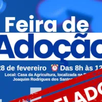 Feira de Adoção de Animais