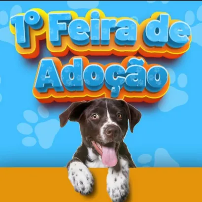 1ª Feira de Adoção de Animais
