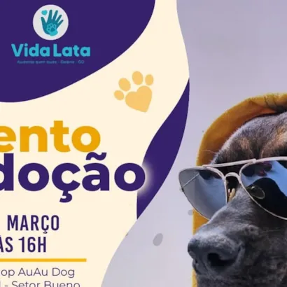 Evento de Adoção