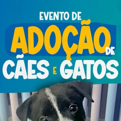 Evento de Adoção de Cães e Gatos