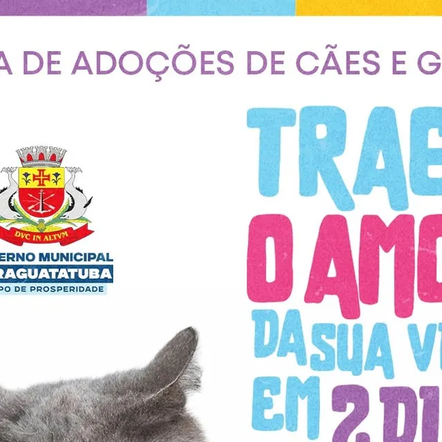 Feira de Adoção de Cães e Gatos em Caraguatatuba