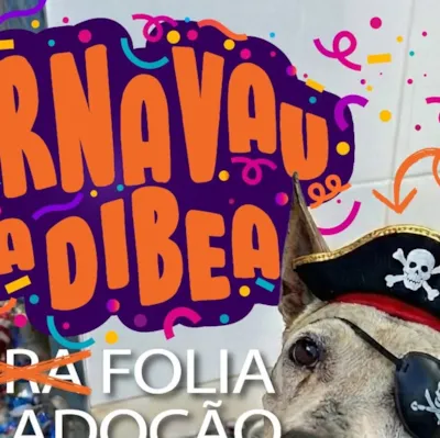 Feira de Adoção Carnaval Solidário - Dibea
