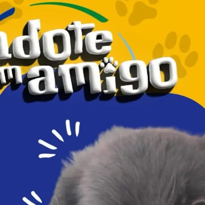 Feira de Adoção e Microchipagem