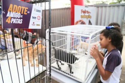 Feira de Adoção de Cães e Gatos na Escola Municipal