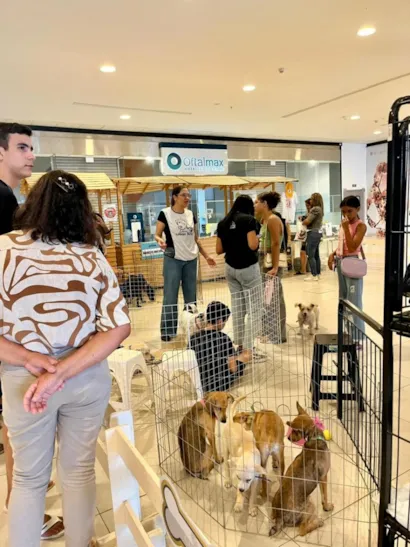 5ª Edição da Feira de Adoção Pet 'Adote Aqui'