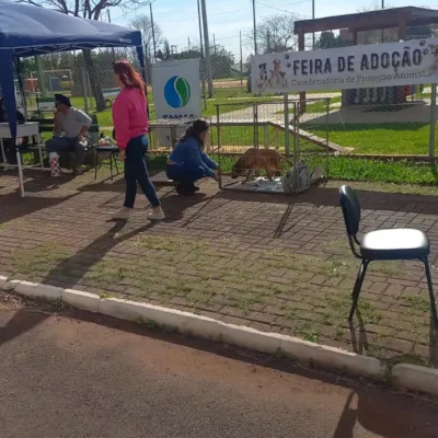 Feira de Adoção de Animais em Ijuí