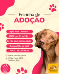 Feirinha de Adoção de Pets em Blumenau