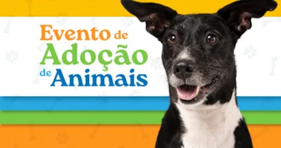 Amor que Salva Vidas: Evento de Adoção de Cães em Cariacica