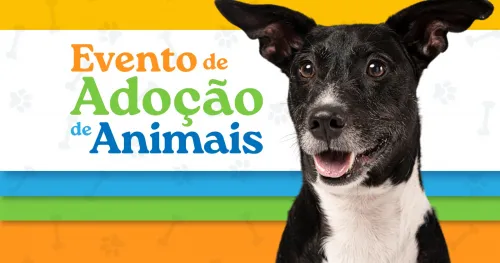 Amor que Salva Vidas: Evento de Adoção de Cães em Cariacica