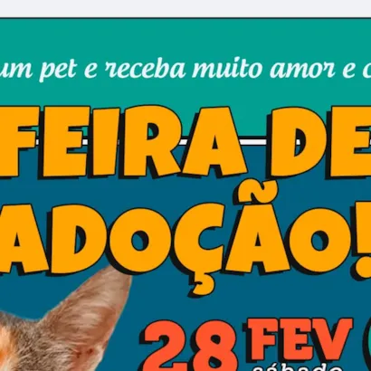 Feira de Adoção - Encontre seu novo amigo!