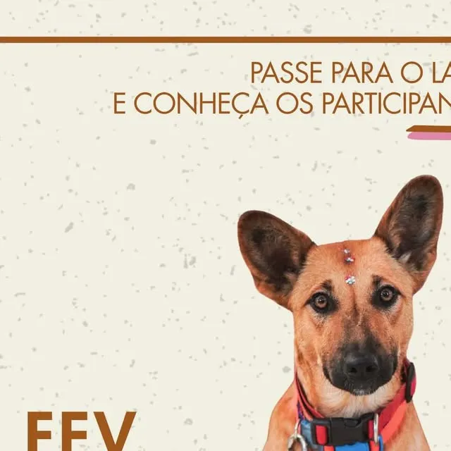 Participe da Feira de Adoção AUjude Patinhas neste sábado, 28/02, das 11h às 16h, na Cobasi do Pinheirinho. Adote um cão e mude uma vida!
