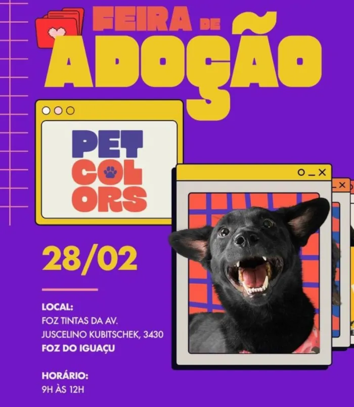 Encontre seu novo amigo peludo na Feira de Adoção Pet Colors em Foz do Iguaçu! Cães e gatos da ONG Vida Animal esperam por você. Sábado, 28/02, das 9h às 12h.