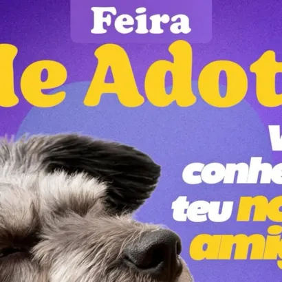 Feira Me Adota