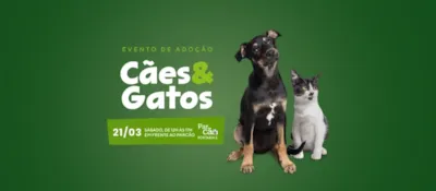 Evento de Adoção de Cães & Gatos