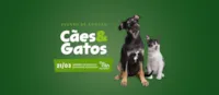 Evento de Adoção de Cães & Gatos