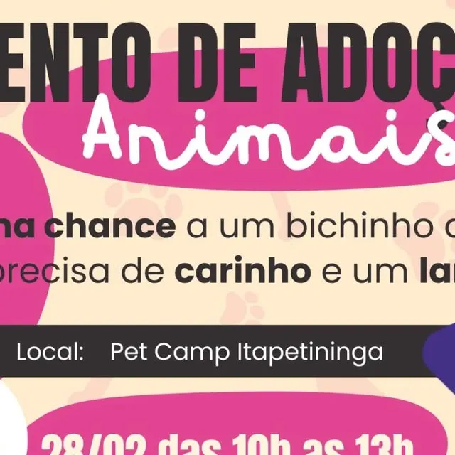 Participe do evento de adoção de animais no Pet Camp Itapetininga em 28/02, das 10h às 13h. Um ato de amor transforma vidas!