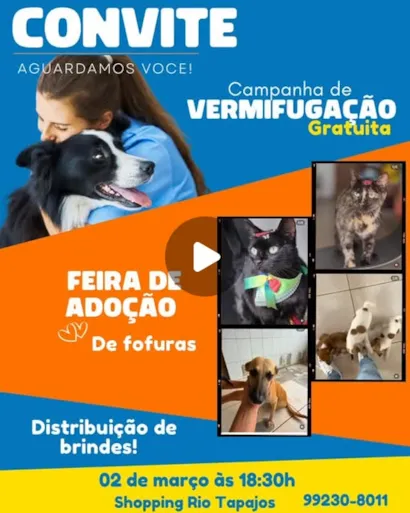 Feira de Adoção de Fofuras e Campanha de Vermifugação Gratuita