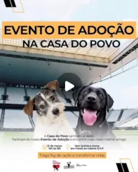 Evento de Adoção na Casa do Povo