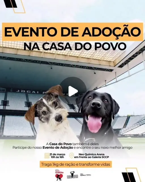 Evento de Adoção na Casa do Povo