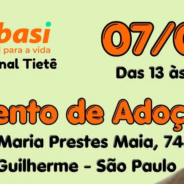 Participe do Evento de Adoção do Projeto Bichos do Gueto em São Paulo no dia 07/03, das 13h às 17h, na Cobasi Marginal Tietê. Adote um amigo!