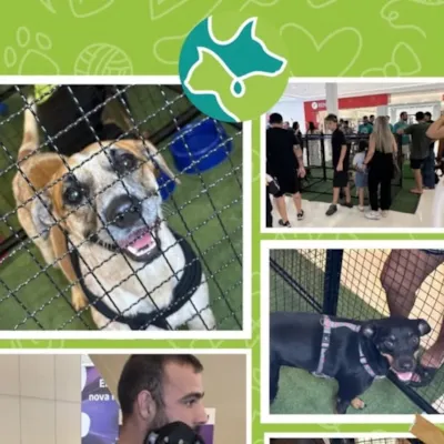 Evento de Adoção Responsável - Clube Amigo dos Animais
