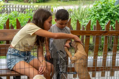12.ª Feira de Adoção de Animais em Paranaguá
