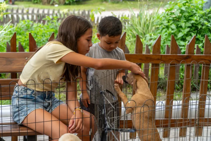Participe da 12.ª Feira de Adoção de Animais em Paranaguá. Adoção responsável com suporte veterinário gratuito e muito amor!