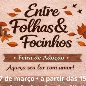 Feira de Adoção de Cães "Entre Folhas e Focinhos"