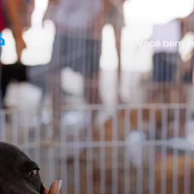 Campanha de Adoção de Animais