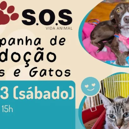 Campanha de Adoção SOS Vida Animal