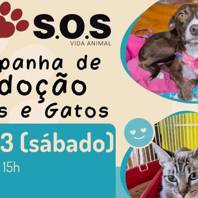 Campanha de Adoção SOS Vida Animal