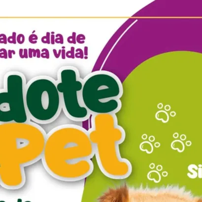 Feira de Adoção Pet no Ita Shopping Centro