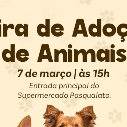 Feira de Adoção de Animais