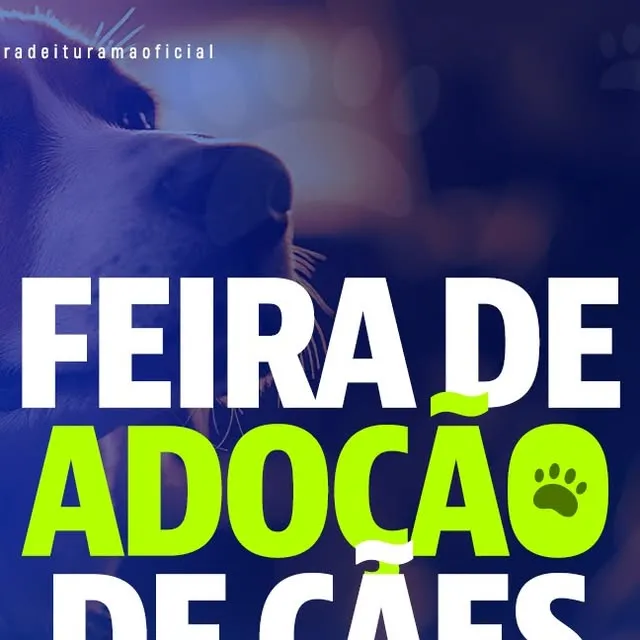 Feira de Adoção de Cães