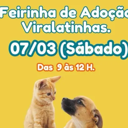 Feirinha de Adoção Viralatinhas