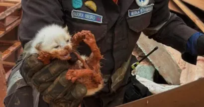 Feira de Adoção em Mariana
