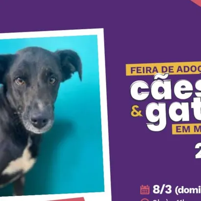 Feira de Adoção de Cães e Gatos