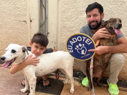 Prefeitura de Campo Grande Realiza Feira de Adoção de Cães Resgatados